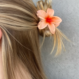 Frangipani Clip - Peach