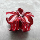 Frangipani Clip - Burgandy
