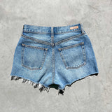 Hudson Shorts - Hudson Wash