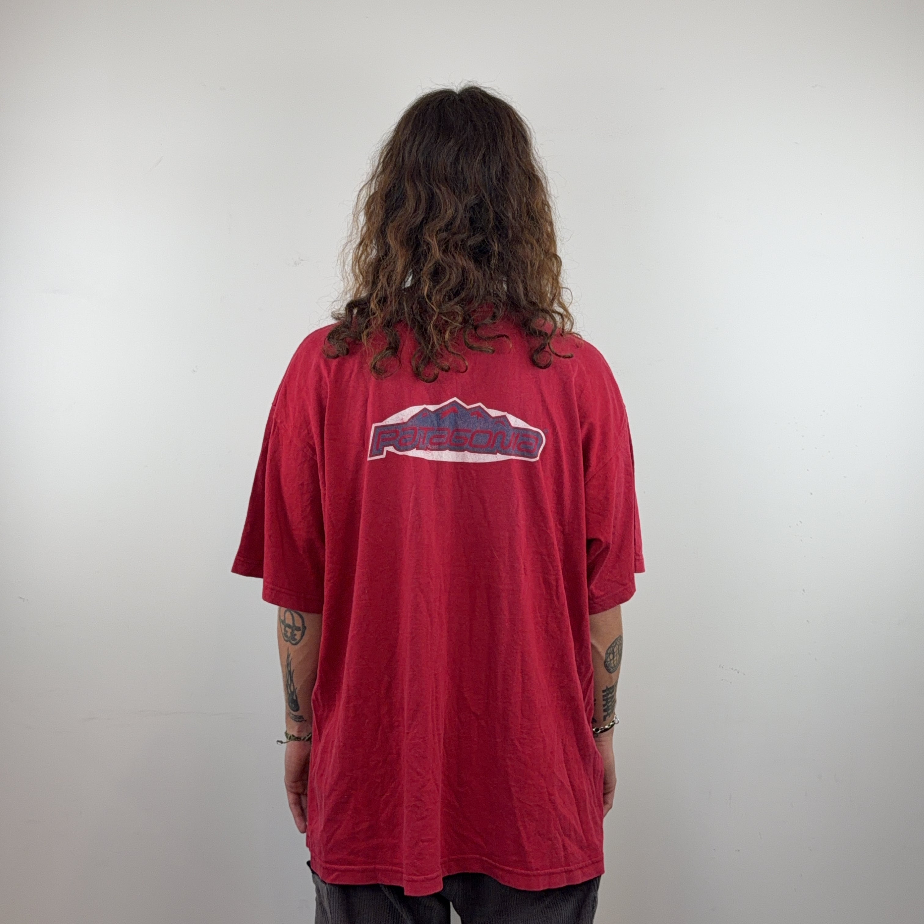 PATAGONIA TEE - LARGE