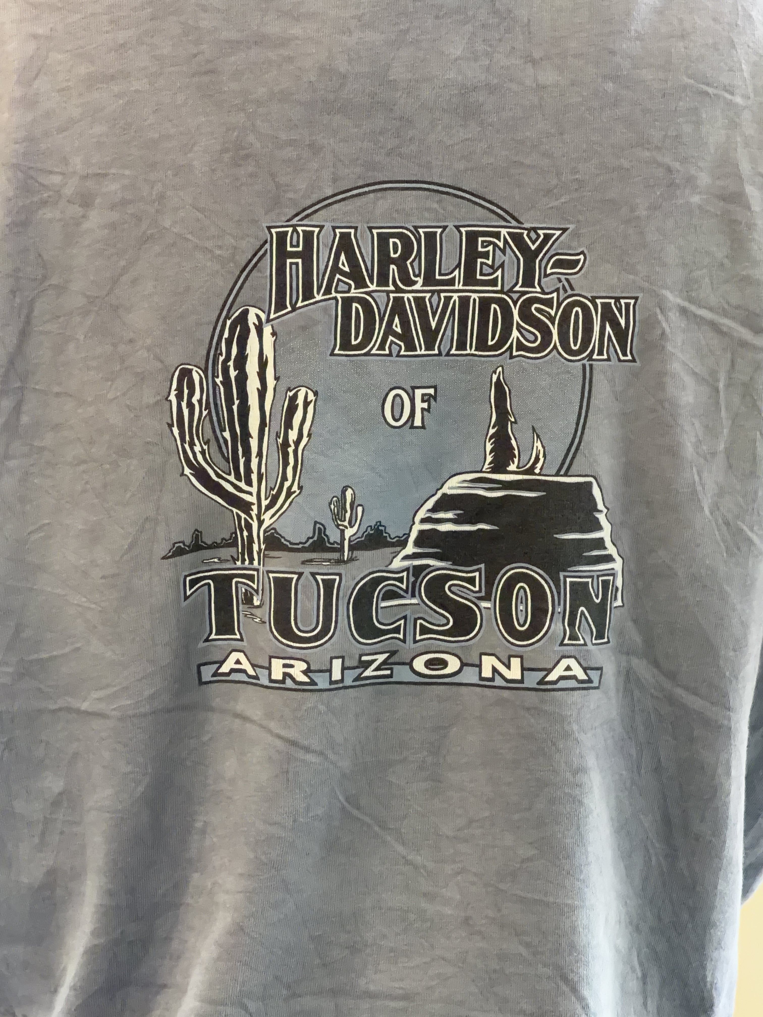 HARLEY DAVIDSON TEE - LARGE