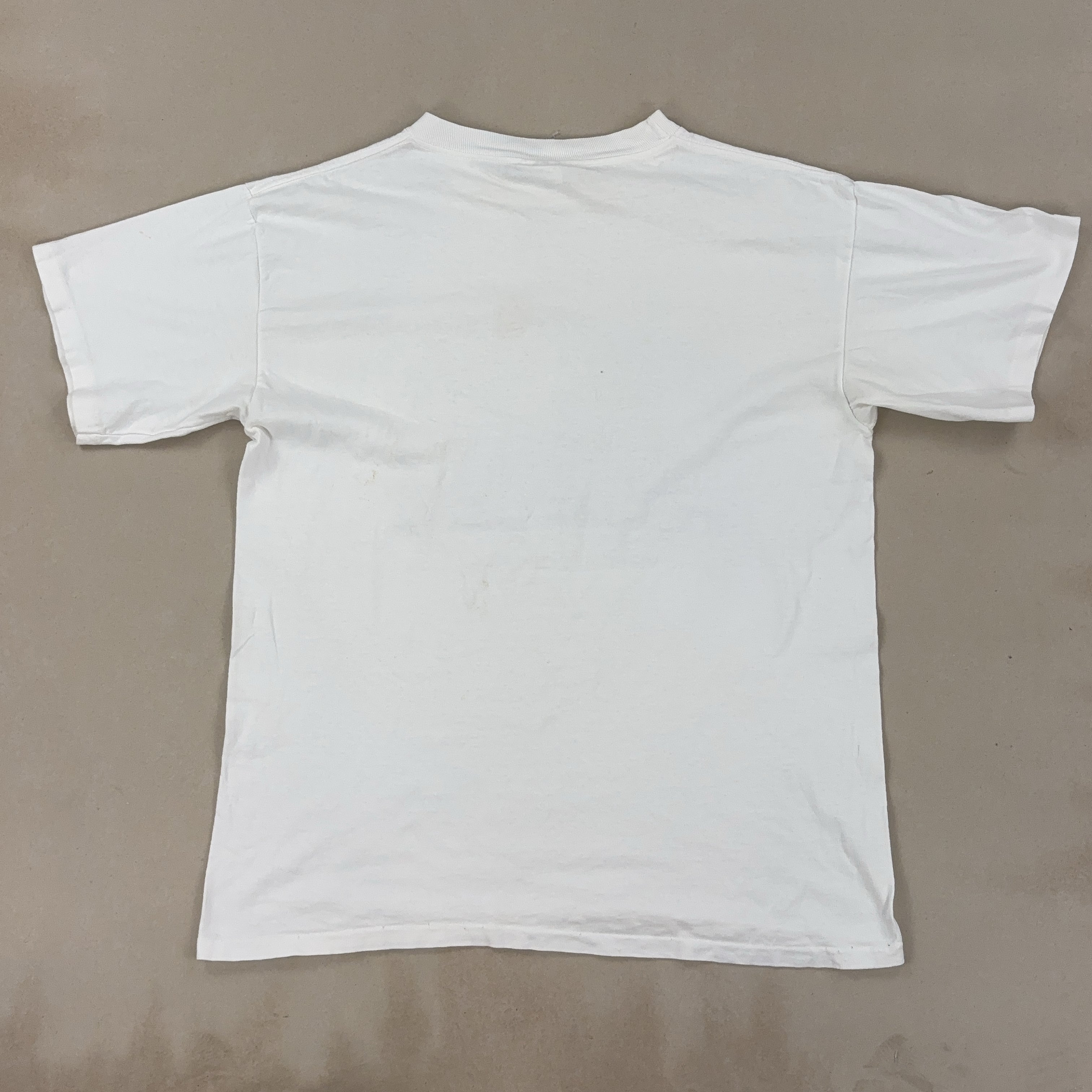 'VICTORIAN CAPE MAY' TEE - LARGE