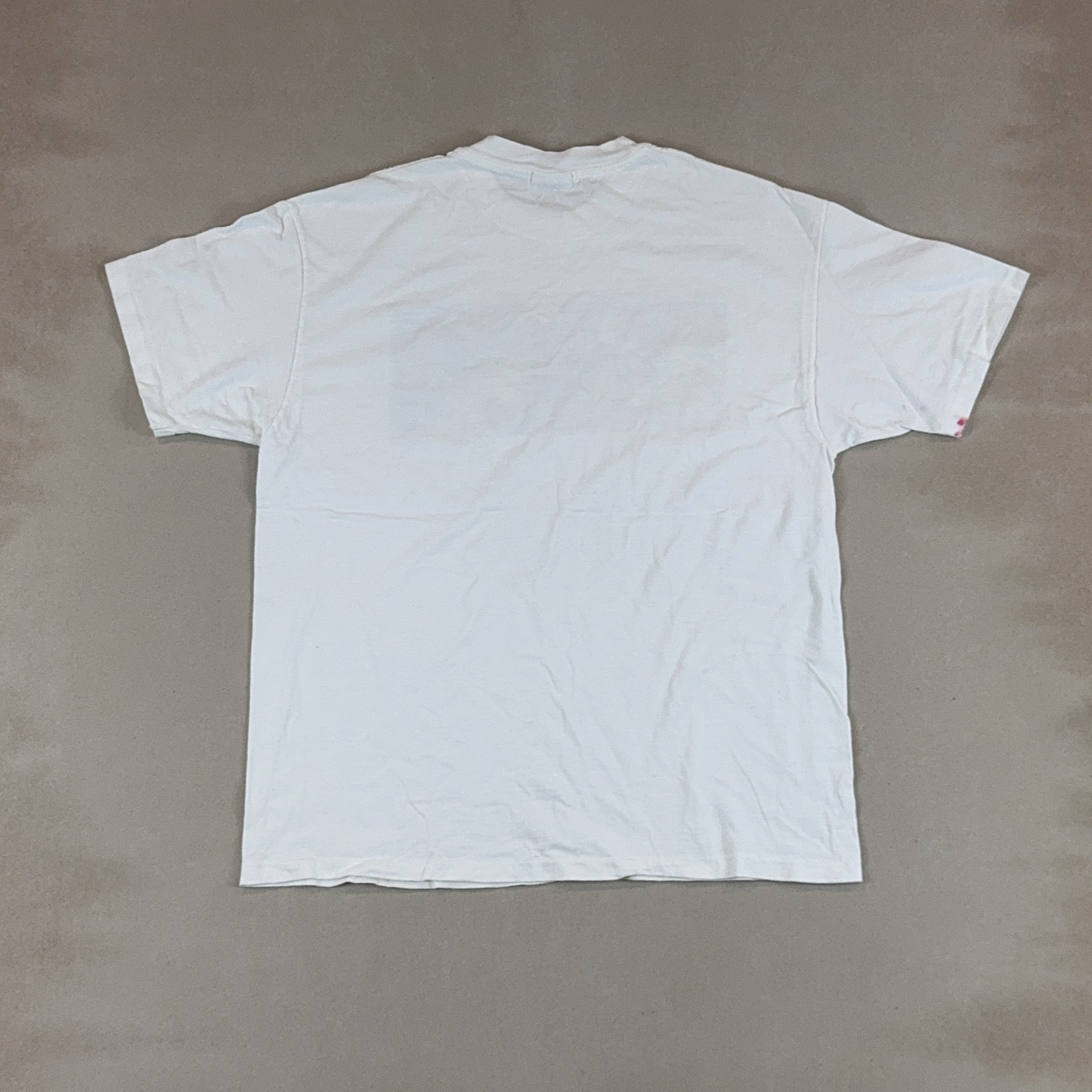 GRAPHIC TEE - X LARGE