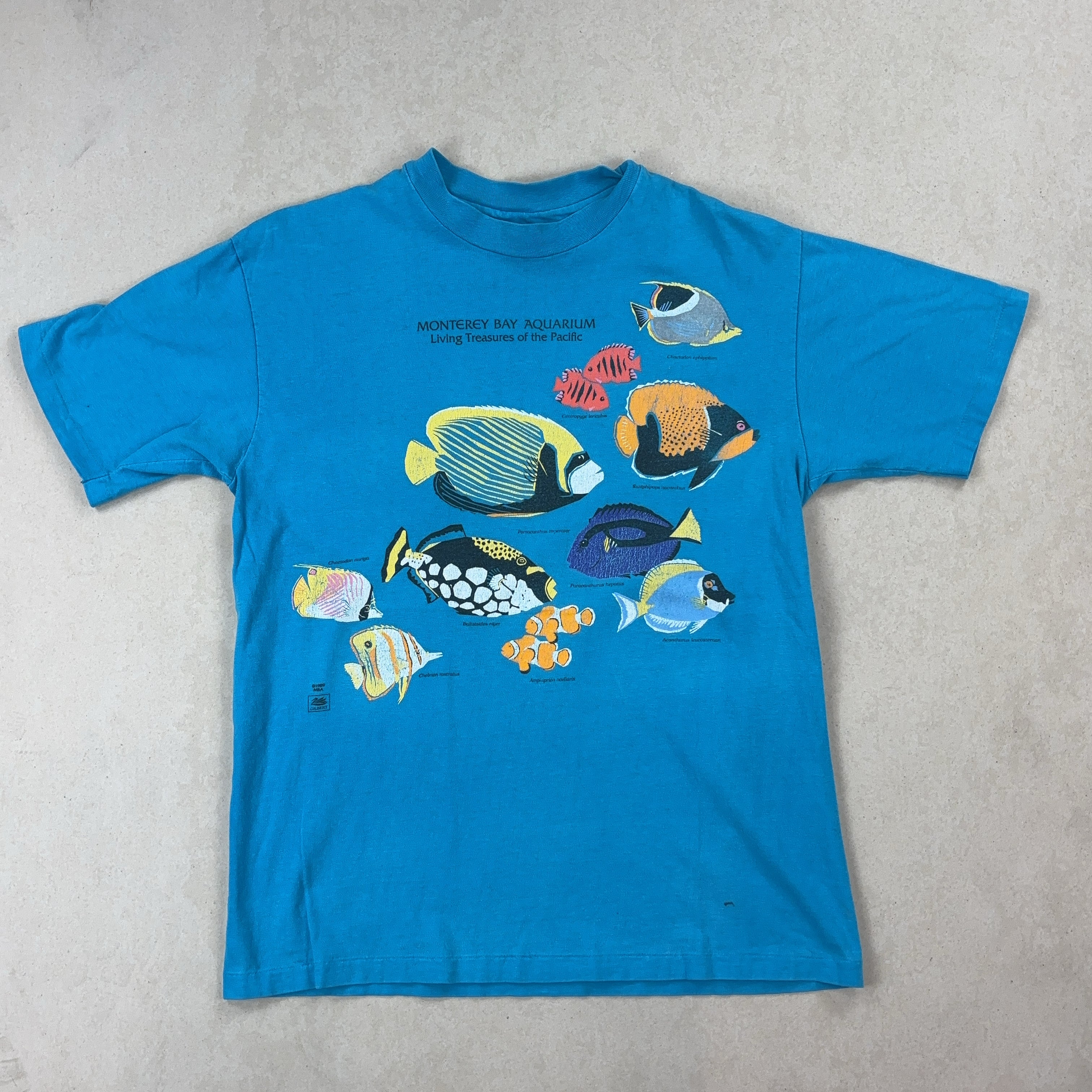 'MONTEREY BAY AQUARIUM' TEE - LARGE