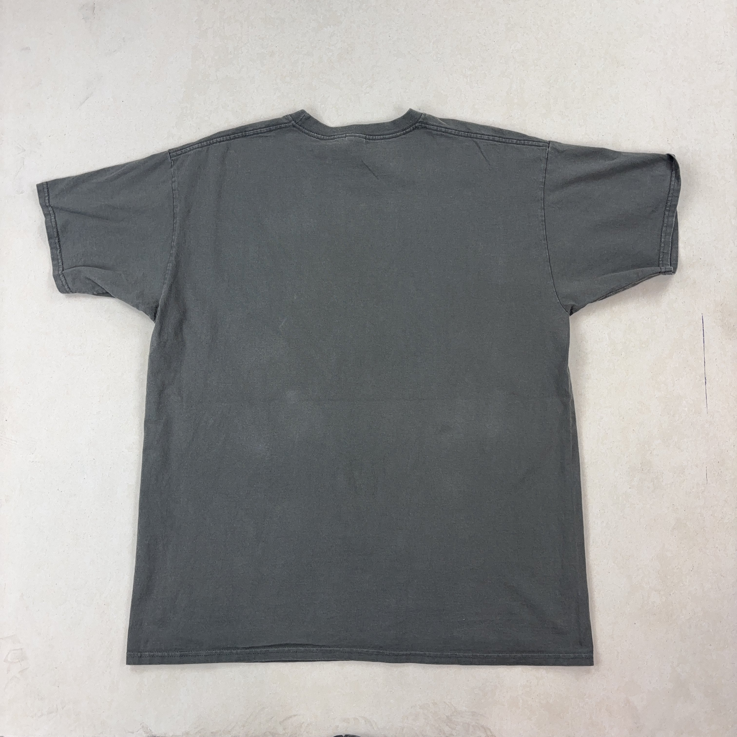 'BLESSING IN DISGUISE' TEE - X LARGE