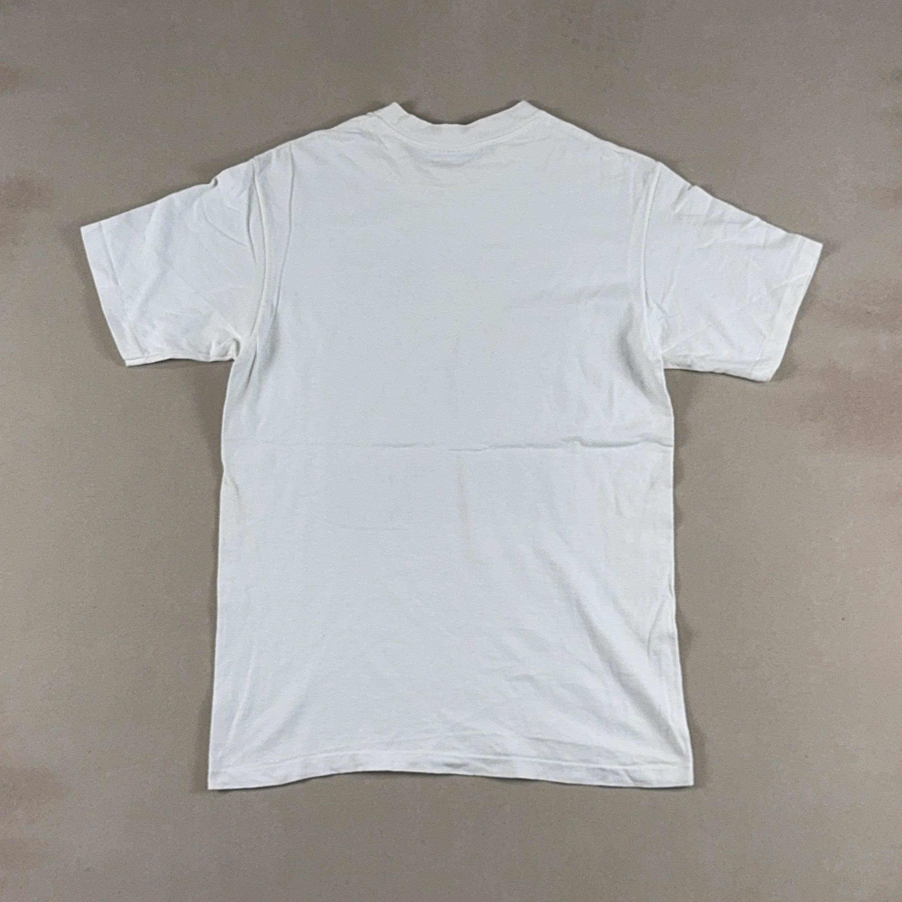 CIRCLE OF LIFE TEE - LARGE