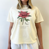 Boyfriend Tee - Surf Coast Waratah - Cream