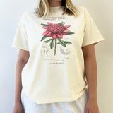 Boyfriend Tee - Surf Coast Waratah - Cream