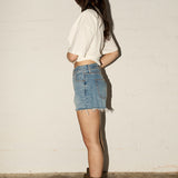 Hudson Shorts  - Hudson Wash