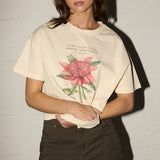 Boyfriend Tee - Surf Coast Waratah - Cream
