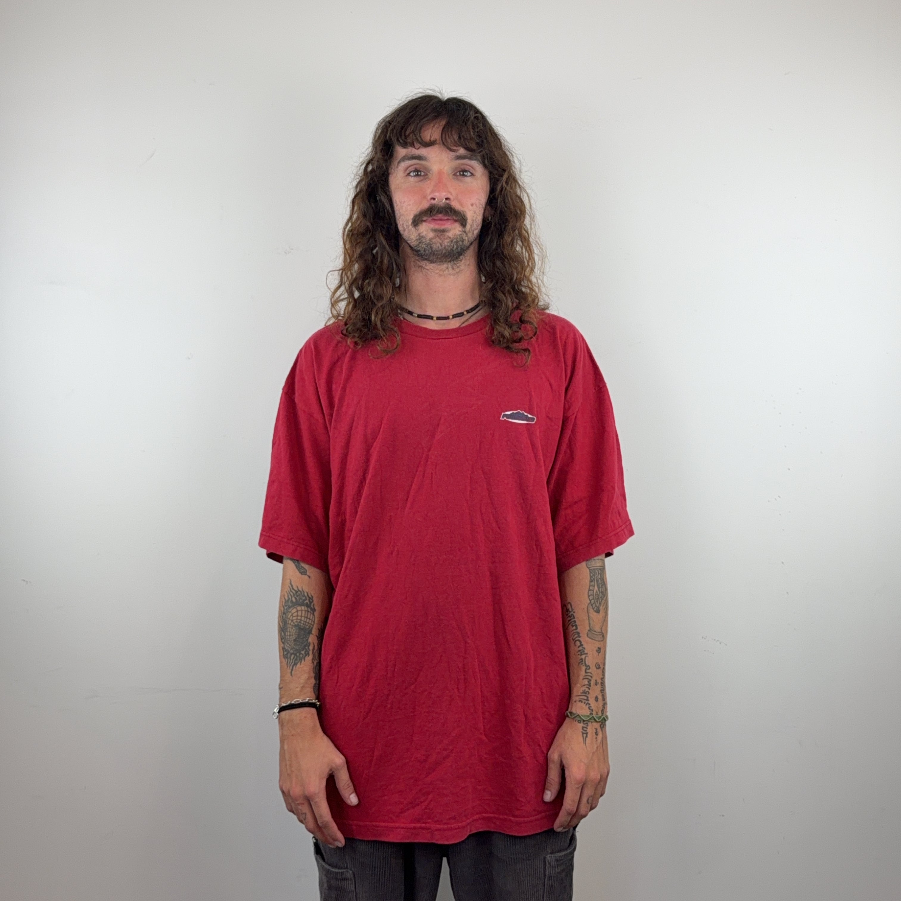 PATAGONIA TEE - LARGE