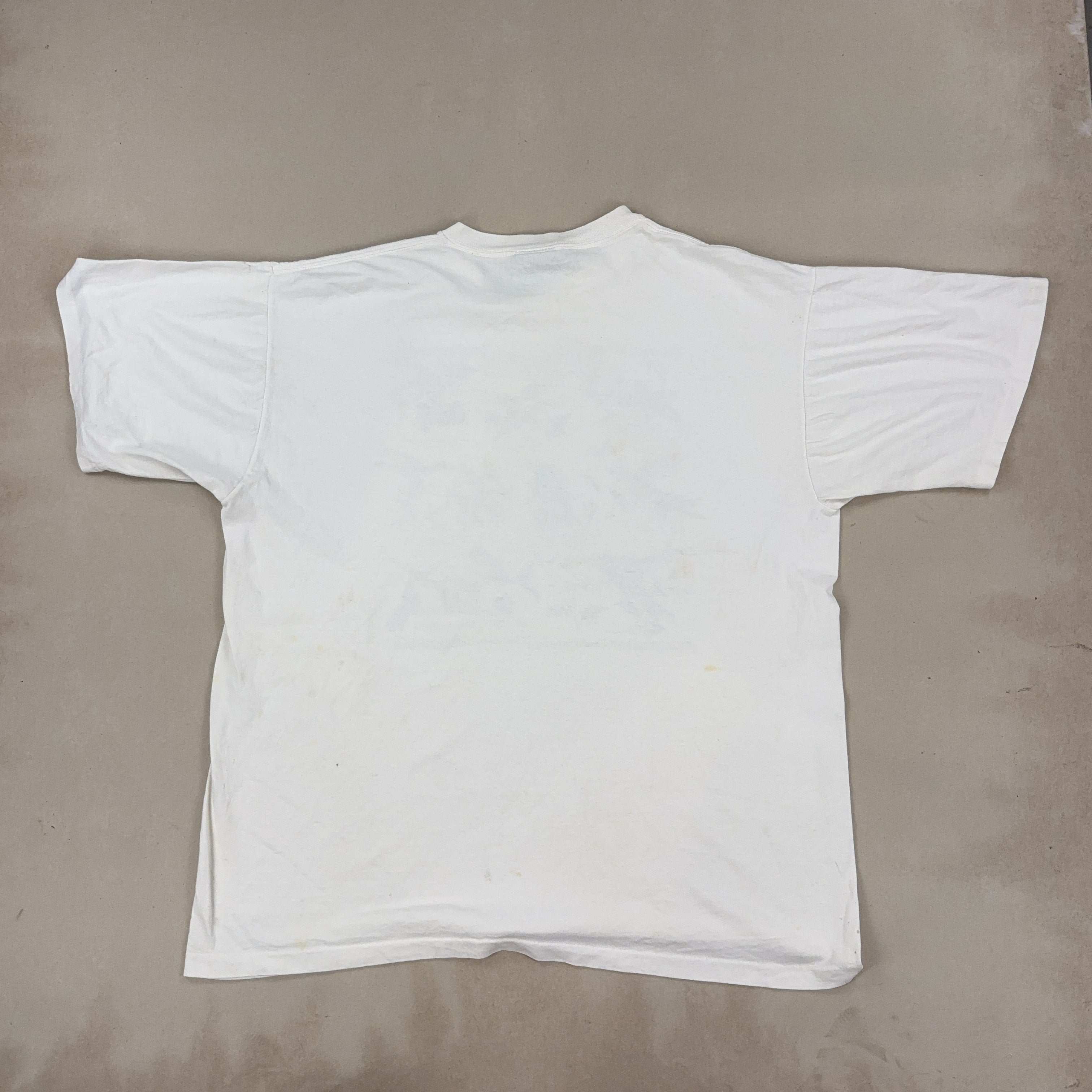 'HUMMINGBIRD' GRAPHIC TEE - LARGE