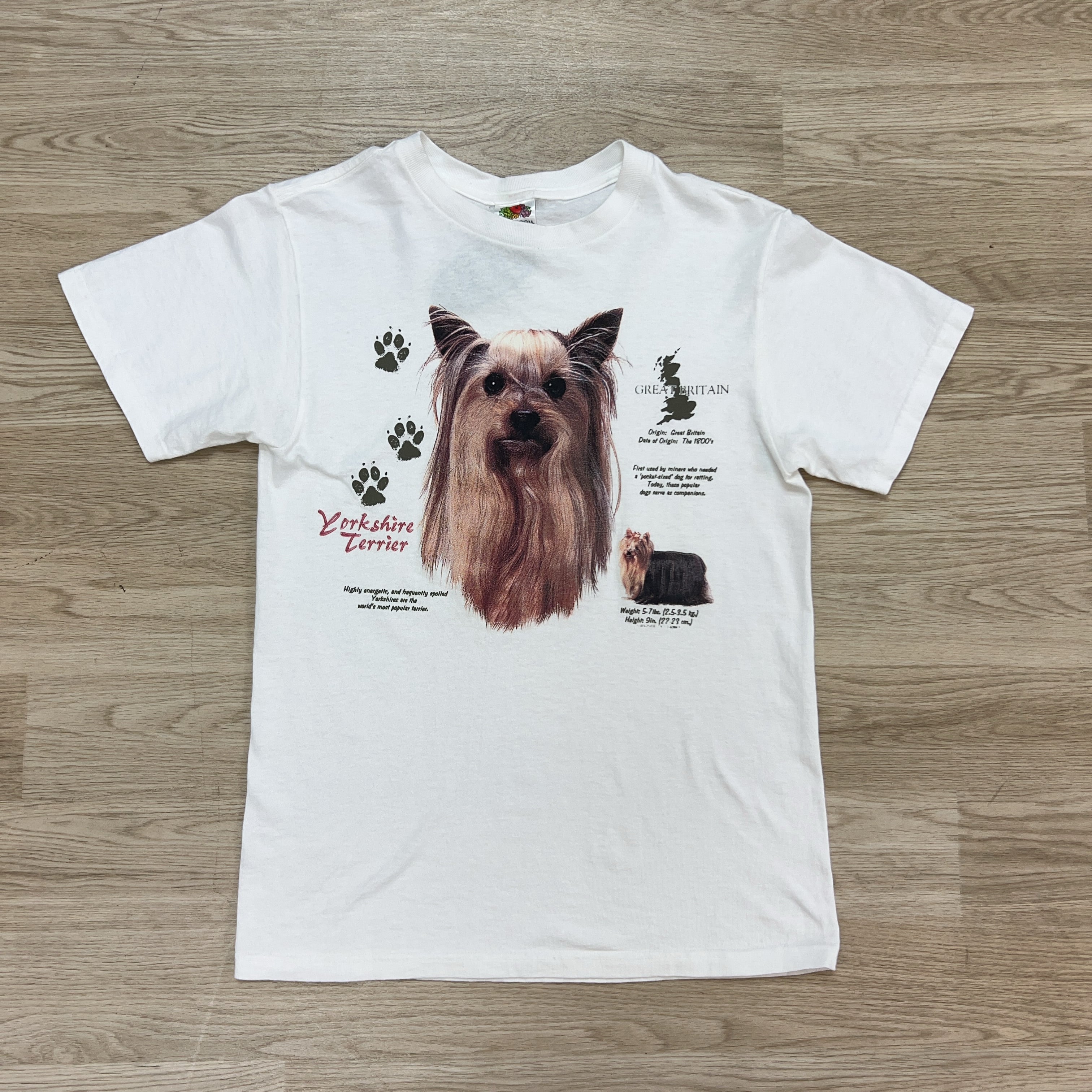 FRUIT OF THE LOOM TEE - X SMALL
