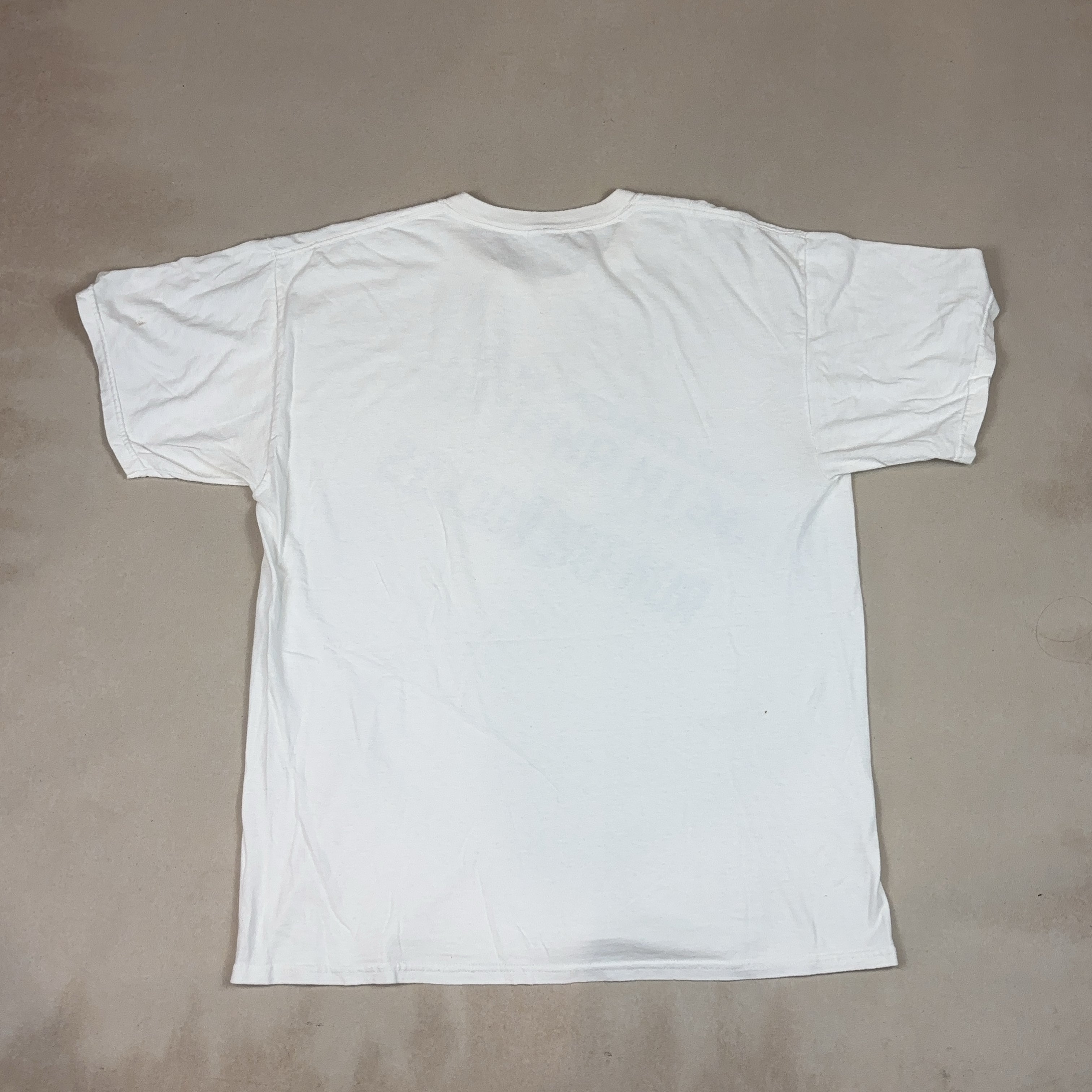 SALOMON TEE - LARGE